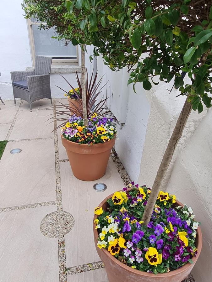 Pembroke Guest Suite Dublin Bagian luar foto