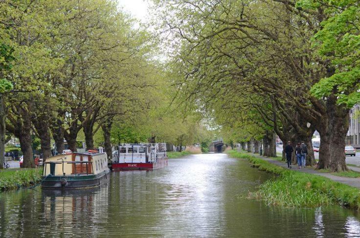 Pembroke Guest Suite Dublin Bagian luar foto